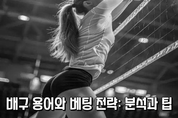 배구 용어와 베팅 전략