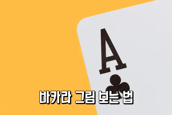 바카라 그림 보는 법