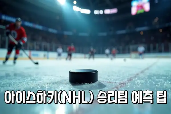 아이스하키(NHL) 승리팀 예측 팁